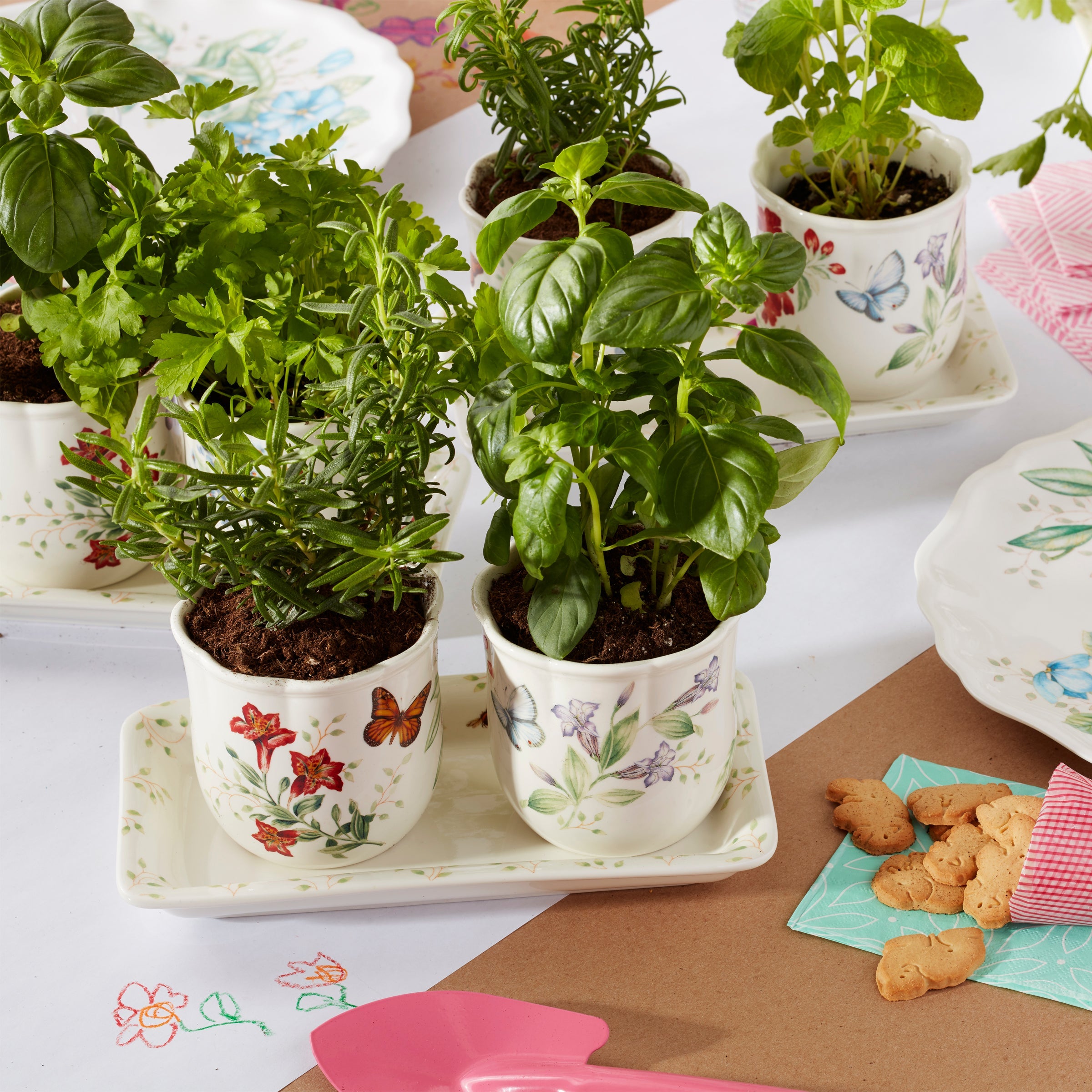 Butterfly Meadow 3-Piece Herb Pots & Tray Set - Image 5