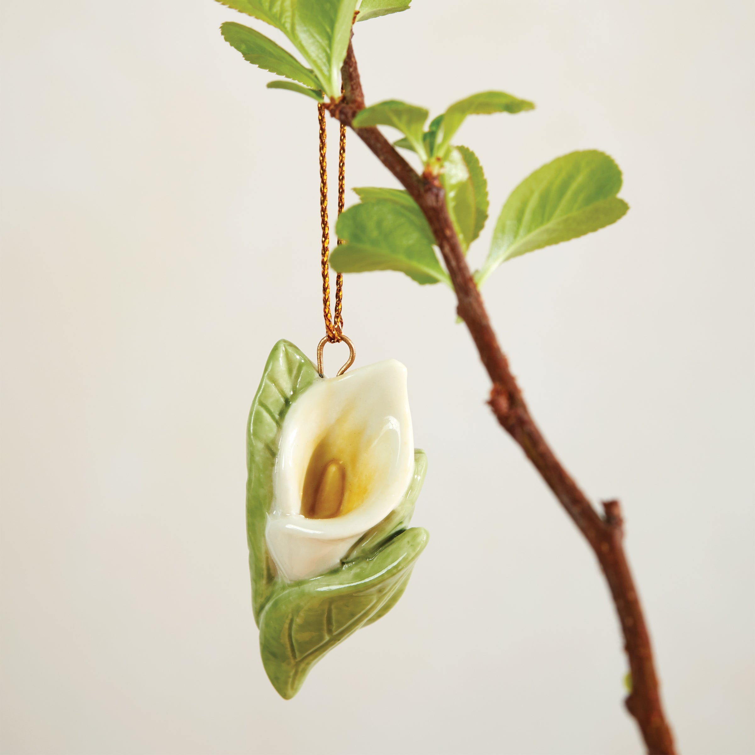 Celebrate Flowers 10-Piece Ornament Set - Image 5