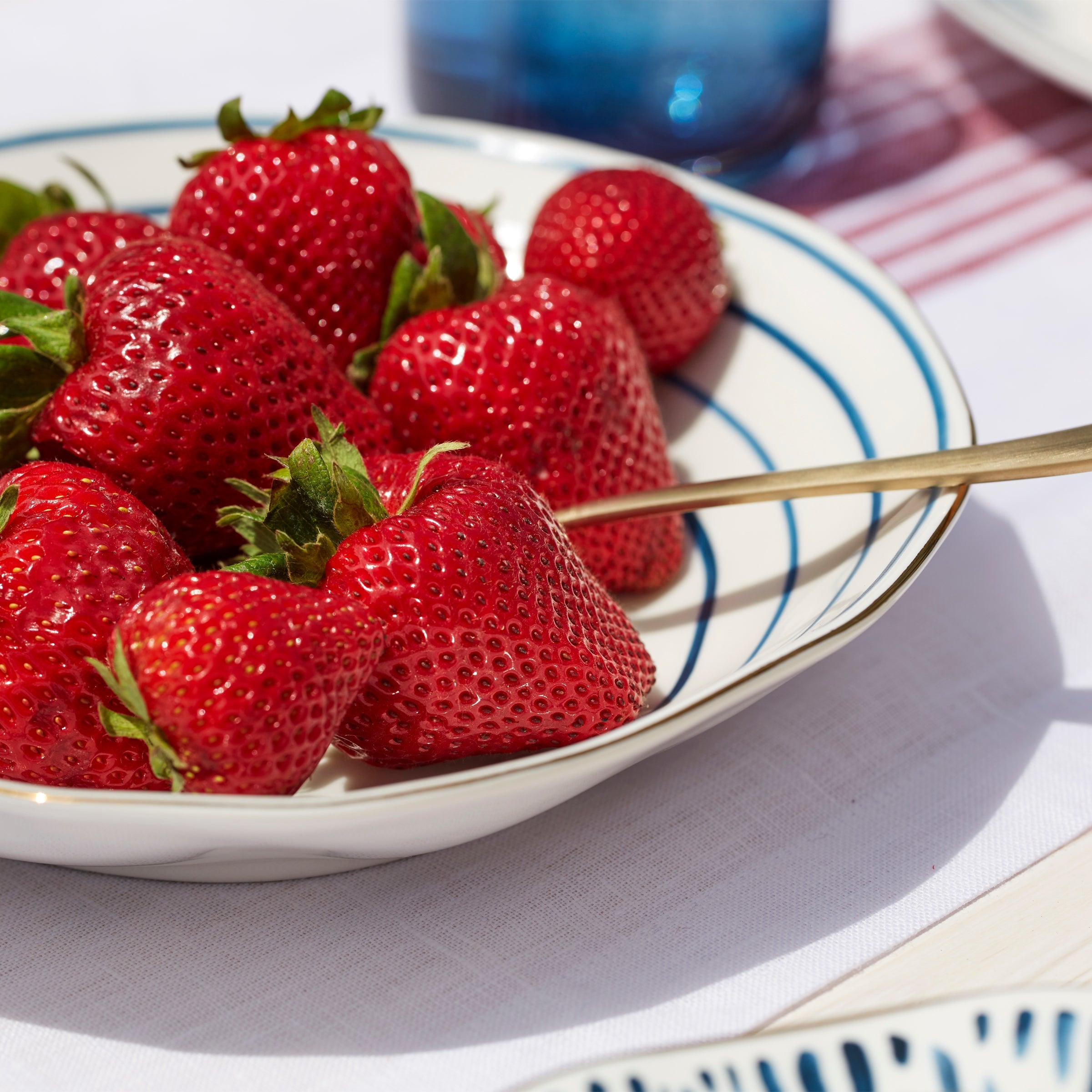 Blue Bay Pasta Bowls - Set of 4 - Image 2