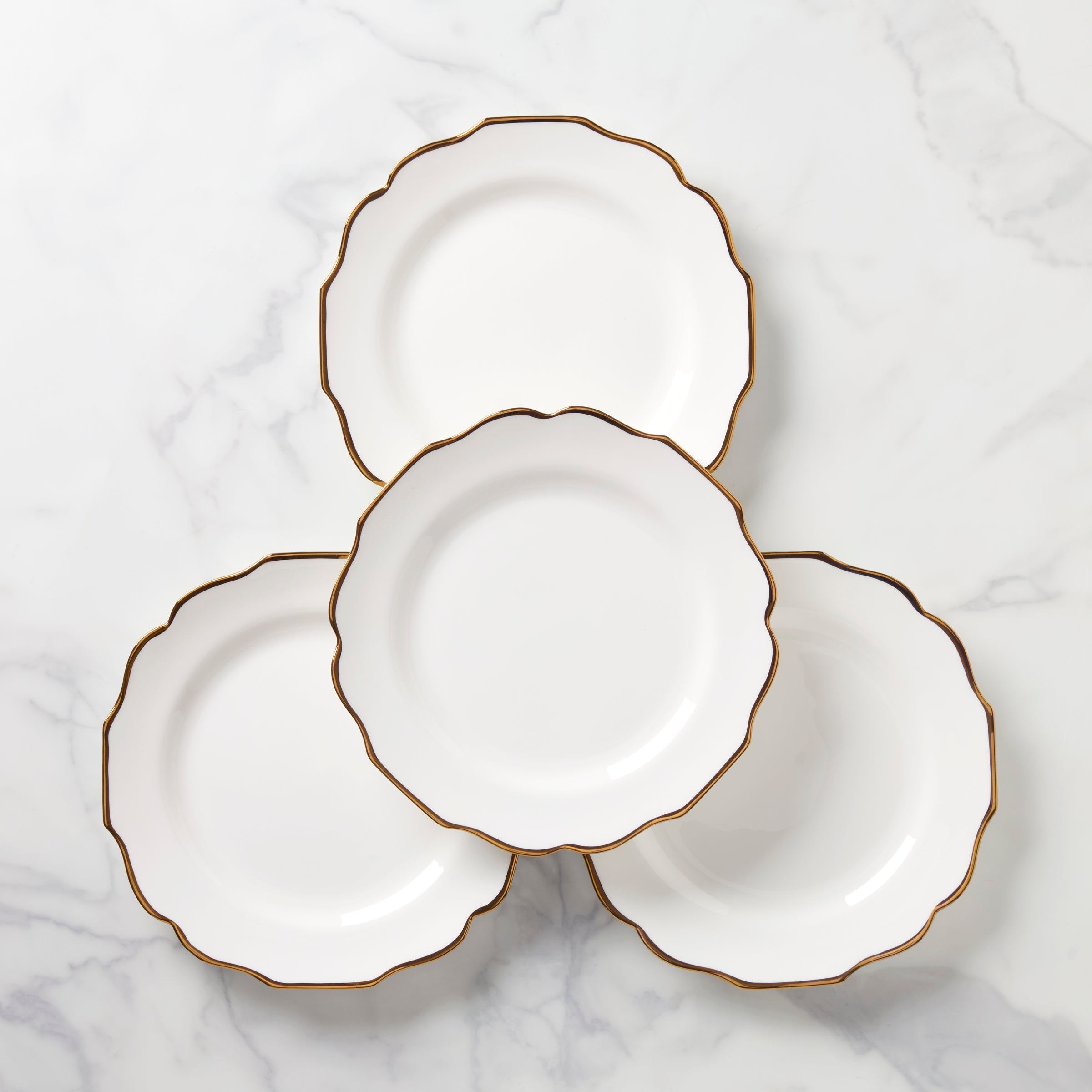 Contempo Luxe Dinner Plates - Set of 4