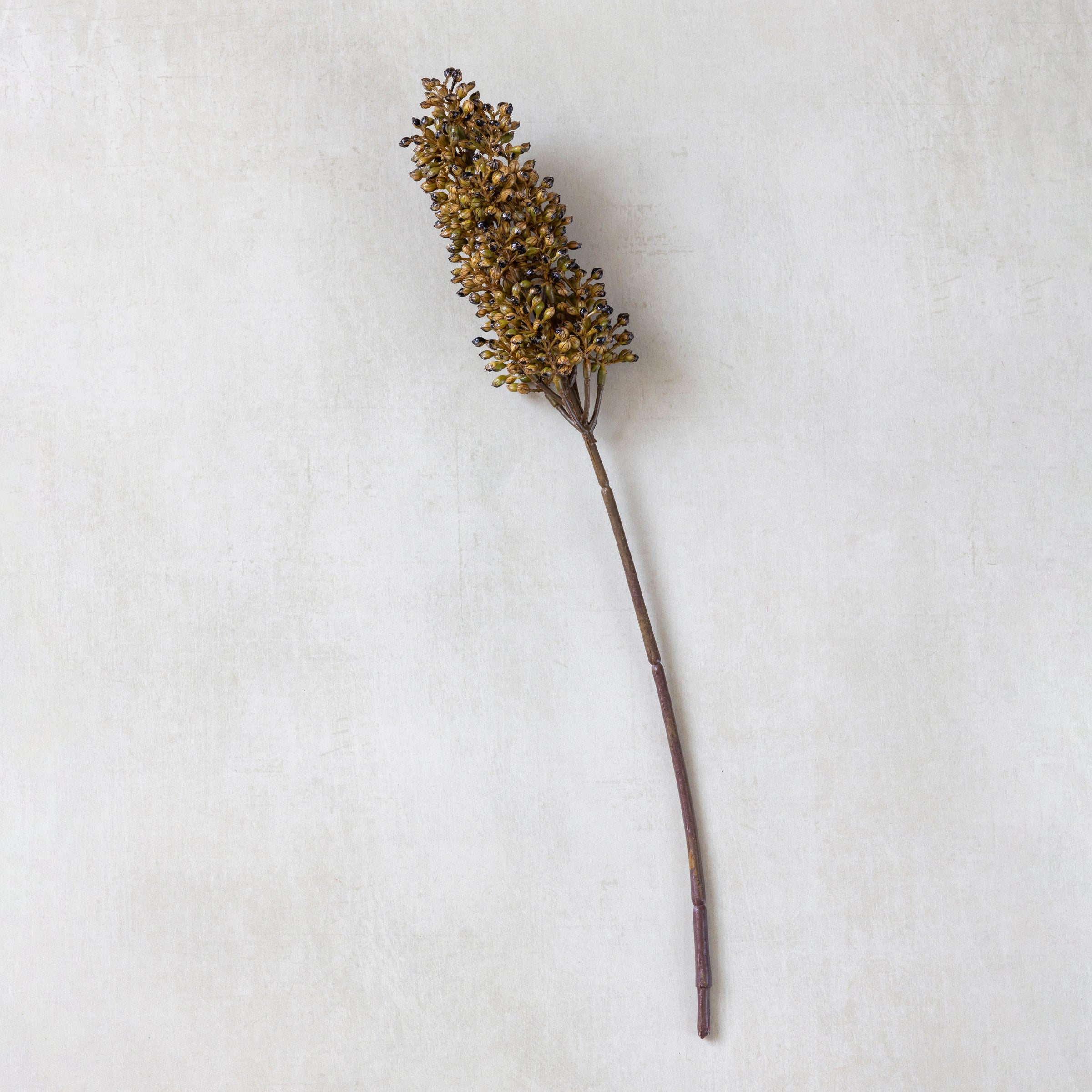 Artificial Sorghum Stem. Umber - Image 2