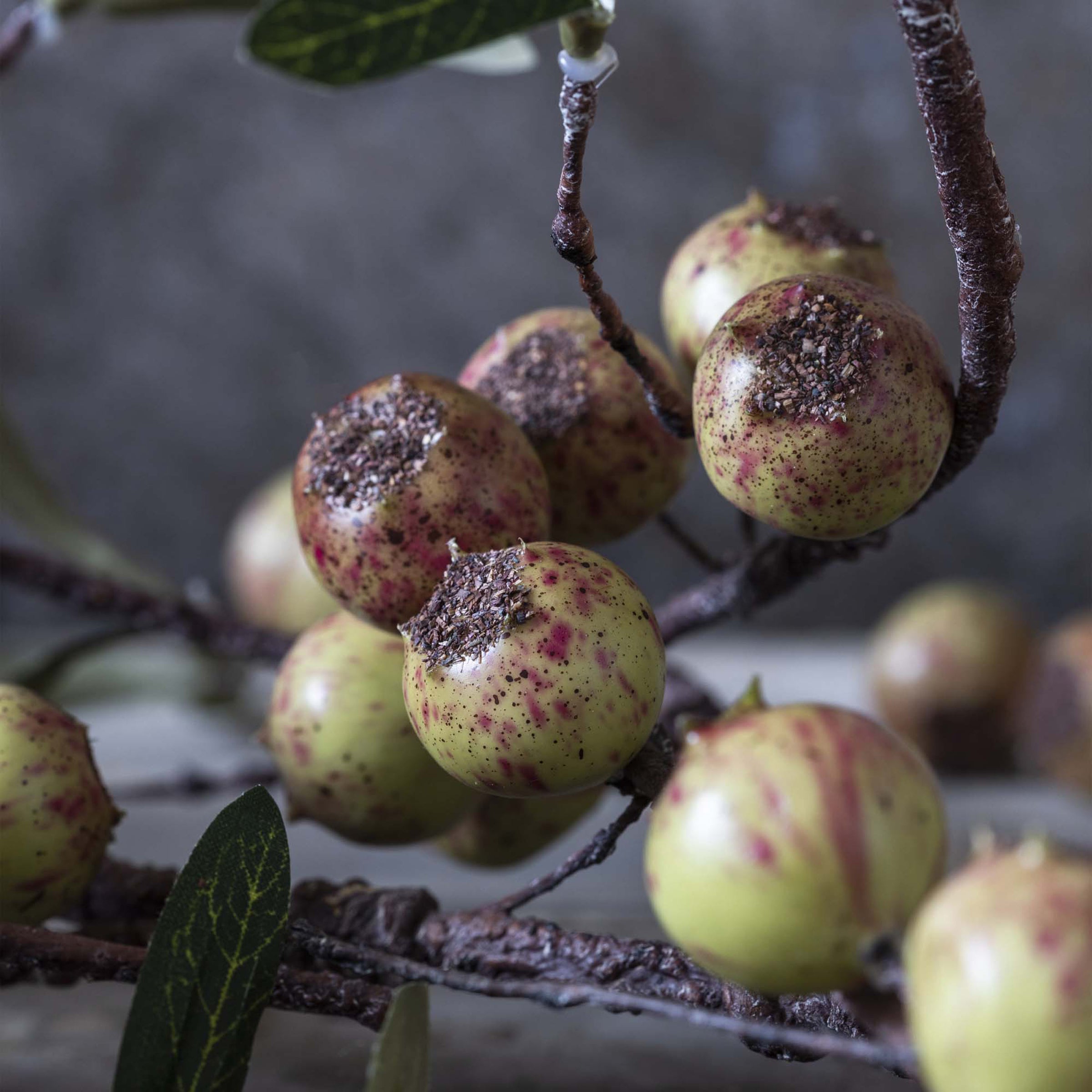 Artificial Rosehip Stem. Dappled - Image 3