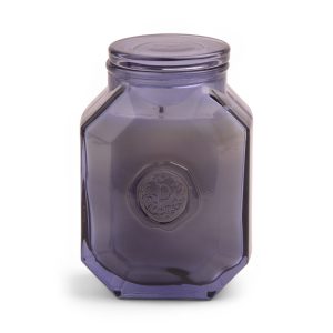 Botanica 8-oz Soy Wax Candle. Sea Salt & Amber