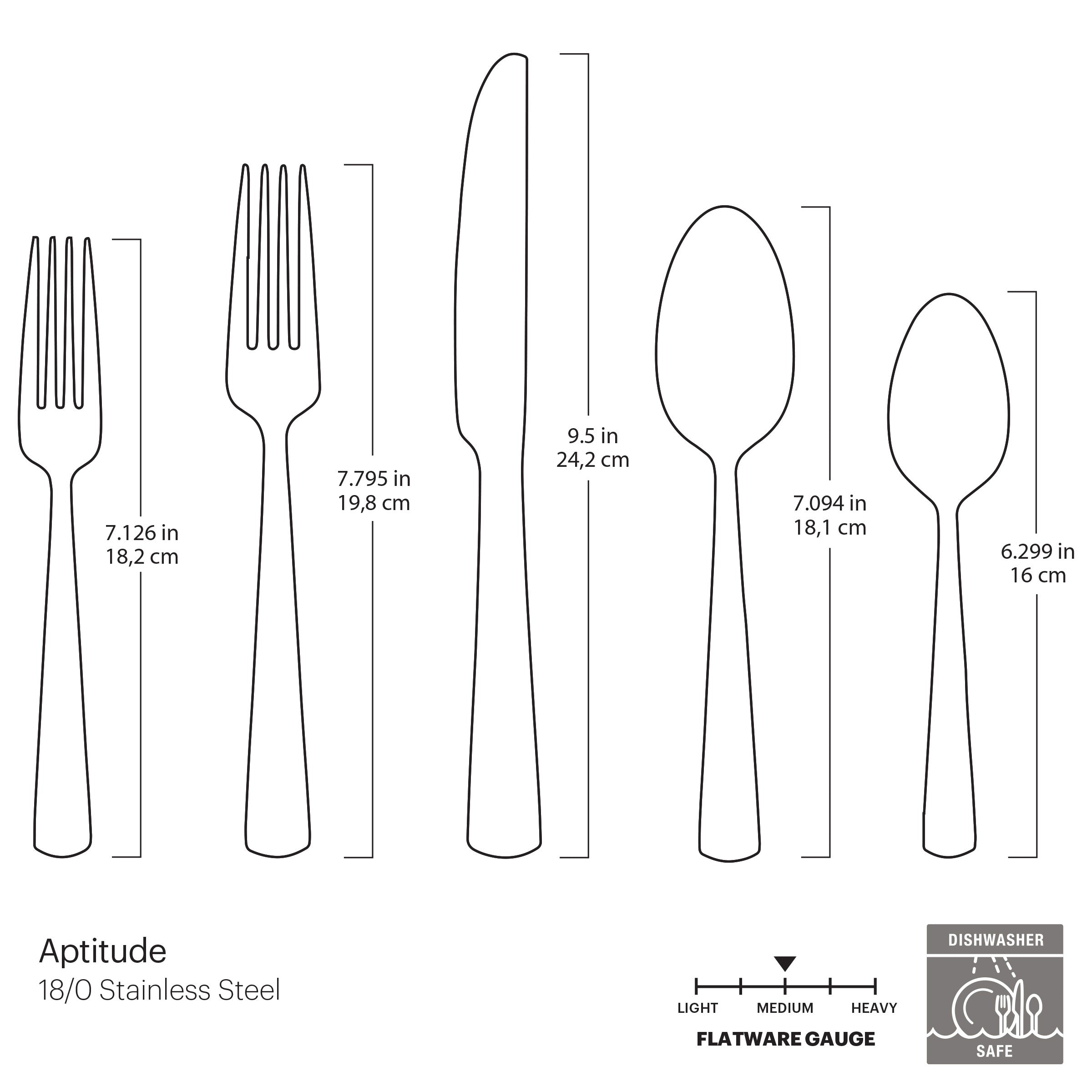 Aptitude Midnight Glossy 20 Piece Flatware Set - Image 4